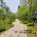 소담동_한국전력공사 앞 이미지