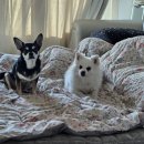 미원농산 이미지