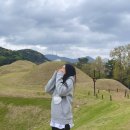 연제문화체육시설 이미지