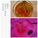 체리7080 이미지