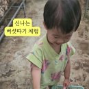 (주)행복한농장 이미지