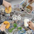 담솜