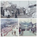 개나리약국 이미지