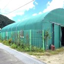 대공농장 이미지