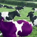 브랜딩팜 이미지