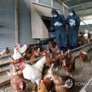 최재용농장 이미지