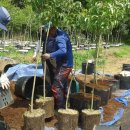 용기농장 이미지