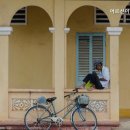 어르신이행복한세상 이미지