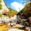 중동종로약국 이미지