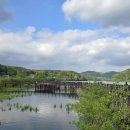 고복자연공원 수변 길 이미지