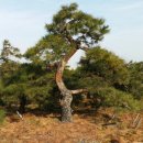 구암동387 이미지