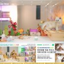 힐링캐터리 이미지