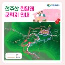 2024.3.30경남 창원 천주산 진달래 산행 이미지