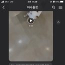 뭉구 애견 이미지