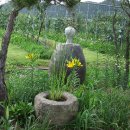 호박단지 이미지