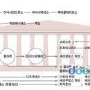 평생교육론 이미지