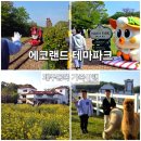 파크사이드관광호텔 | 제주가족여행 필수코스 제주동쪽가볼만한곳 에코랜드테마파크 어린이날 행사 후기