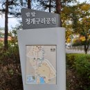 김량장동 주공아파트 놀이시설(204동-숲속의놀이터) | 수원 아기랑 가볼만한 곳 율전 밤밭청개구리공원 후기