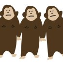 노블레스 스파24시 이미지