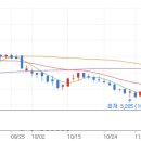 마이스터 옵틱 이미지
