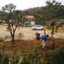 소나무하우스 이미지