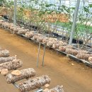 선해농장 이미지