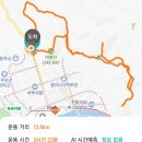 비봉산 체육장 4(봉산사 위 체육장) | 비봉산 산책!(24-22) '선학산 전망대'까지 흙길 등산로 왕복.