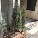 기차네즉석떡볶이 이미지