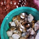 여기대박이네 이미지