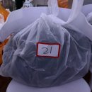 스타코인게임Zone | 친구랑 반신반의로 간 솔로파티 효스타임 후기 (도파민 폭발함)🔥🔥