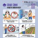 대설 이미지