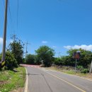 대정읍-2 이미지