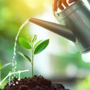 대원 행정사 사무소 이미지