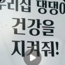 올데이멍 이미지