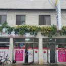 성모반점 이미지