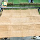 그늘막100 이미지