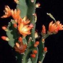 은하수휴게실 이미지