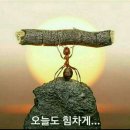 S·fit점핑다이어트