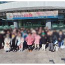 송원 태권도 이미지