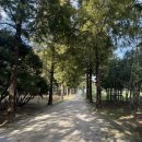 대수길31 이미지