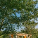 은하농장 이미지