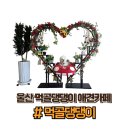 댕댕이애견 | 🐶 울산 먹골댕댕이 애견카페 방문 후기