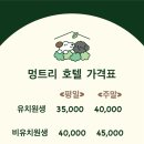 울산 인터메디 타워 이미지