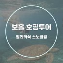 보홀 호핑투어 발리카삭 스노쿨링 후기 가족여행 패키지 추천