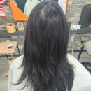 보그 | 미디움 기장 젤리펌 후기 / 보그헤어 동편마을점