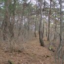 효석문학100리길 제4구간 이미지