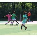 공설보조구장 이미지