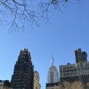 조아메드 | 26.03.09-03.11