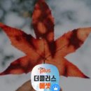 주식회사 플러스앤 이미지