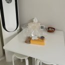 마카오박 | 속초 인생 에그타르트 맛집 [마카오박] 배달 후기